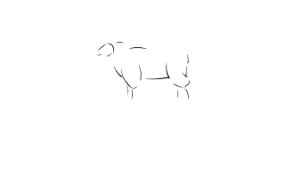 agneau-ja-gastronomie