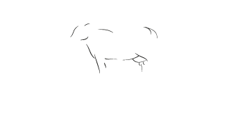 veau-ja-gastronomie